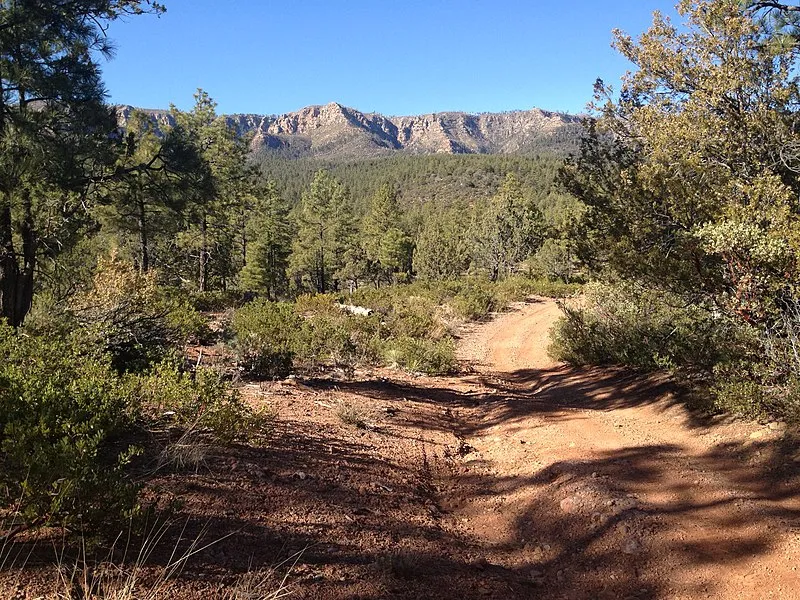 Third Crossing, Gila