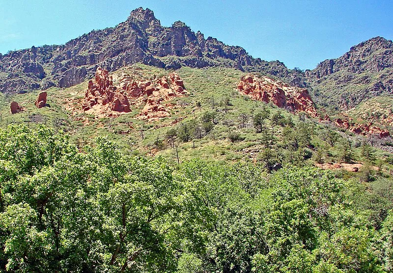 Banjo Bill, Coconino