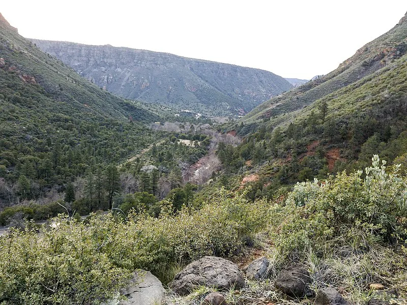 North Wilson Trailhead, Coconino