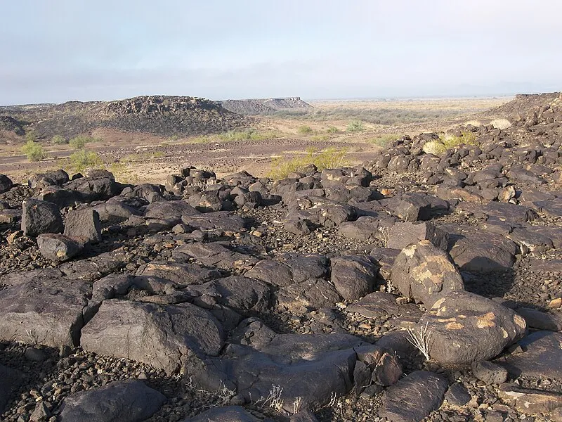 Sears Point Site, Yuma
