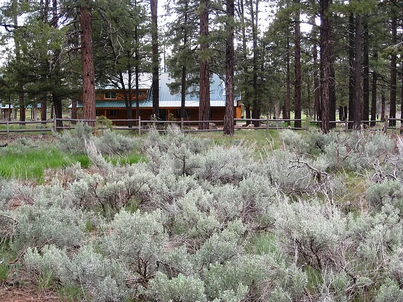 Sawmill Historic Monument, Mohave