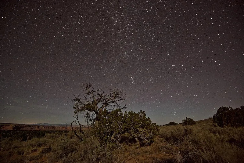 Cottonwood Cove Trailhead, Coconino