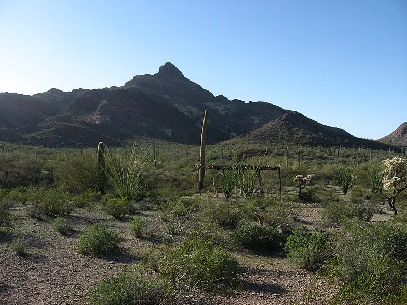 Pinkley Peak #2 (N, 0mi), Organ Pipe Cactus NM
