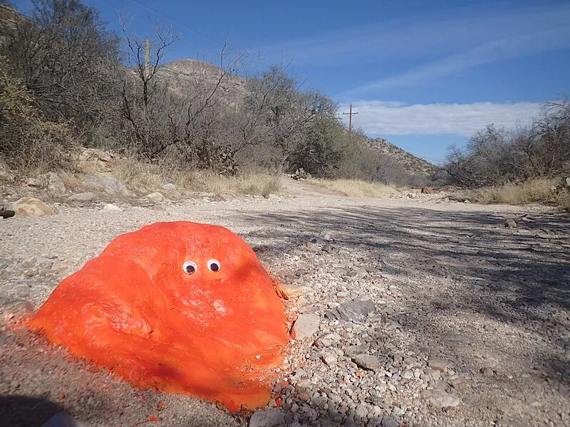 Colossal Cave Mountain Park, Pima