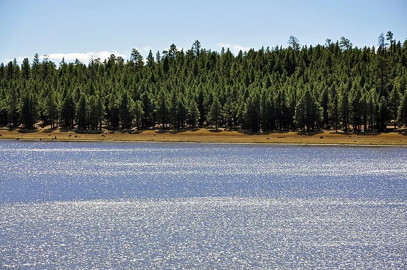 Upper Lake Mary #2, Coconino