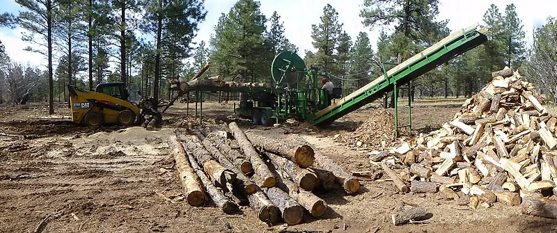 Russell Tank, Coconino