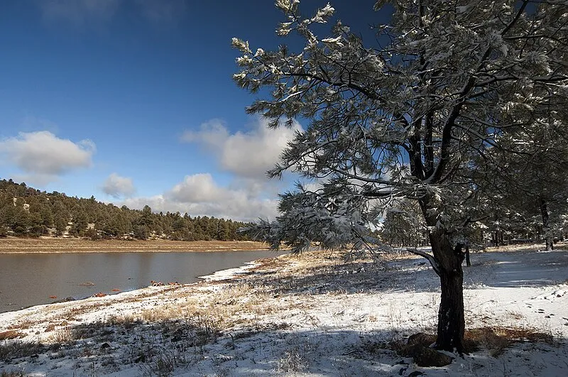 Kaibab Lake Fishing Site, Coconino
