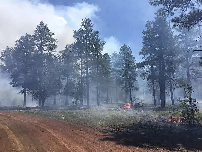 Perkins Tank, Coconino