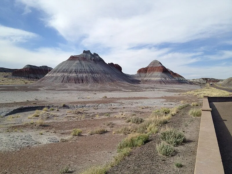 Trailhead (SE, 2mi), Petrified Forest National Park