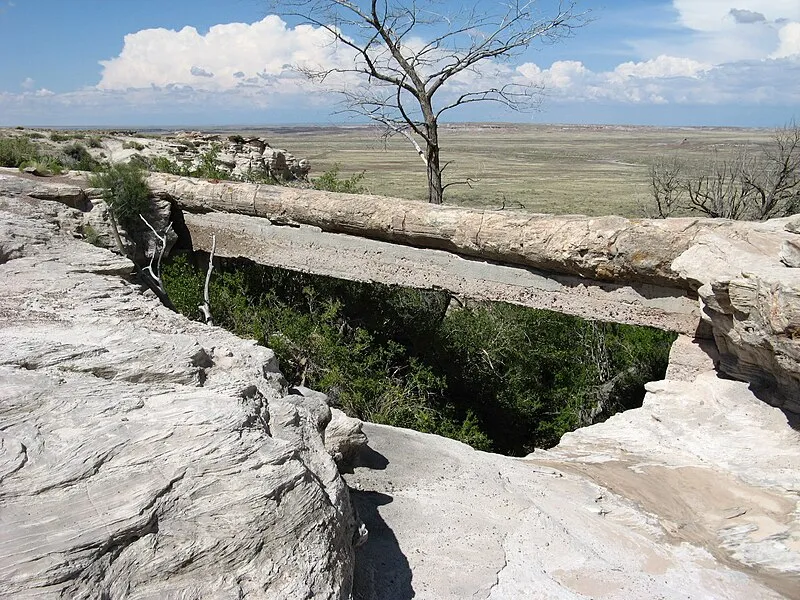 Agate Bridge, Petrified Forest National Park