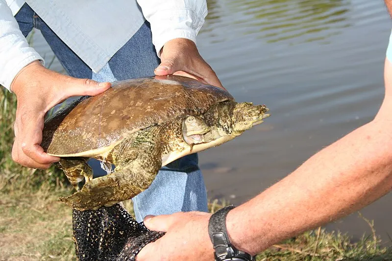 Christopher Columbus Park, Juan Bautista de Anza NHT
