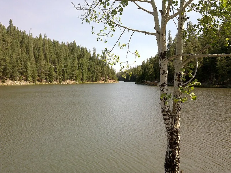 Bear Canyon Lake Trail, Coconino