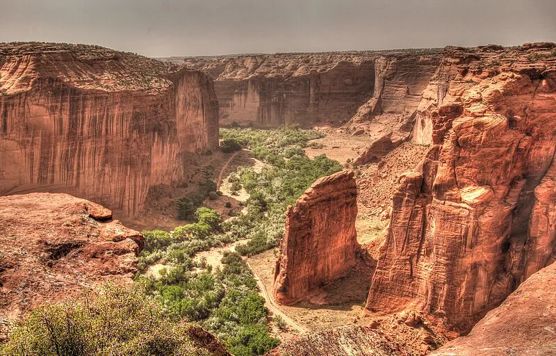 Petrified Forest National Wilderness Area: North Unit, Petrified Forest National Park