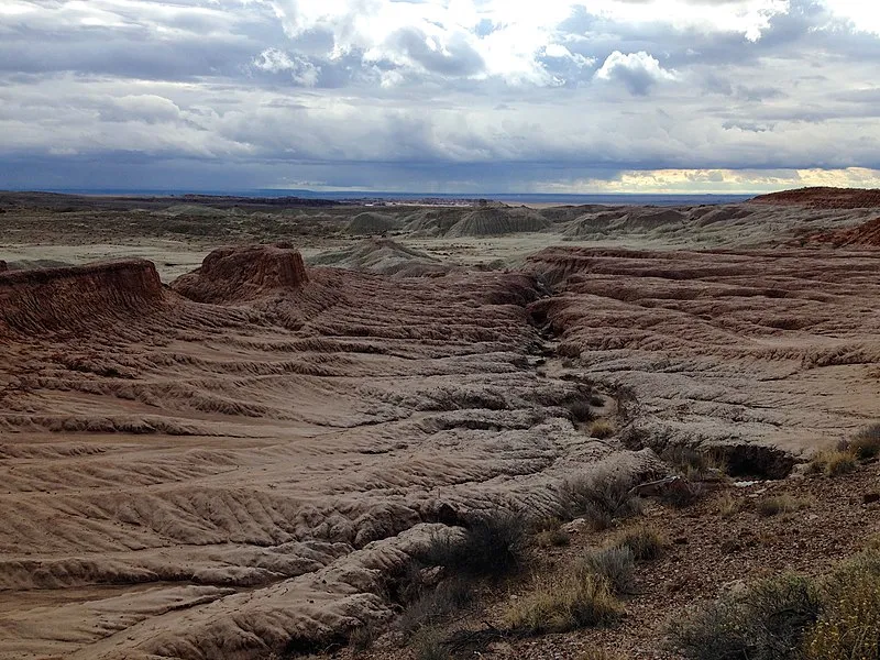 Petrified Forest National Wilderness Area: South Unit, Petrified Forest National Park