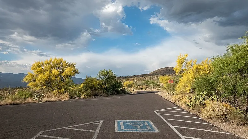 Pull-off Along Cactus Forest Loop Drive, Saguaro National Park