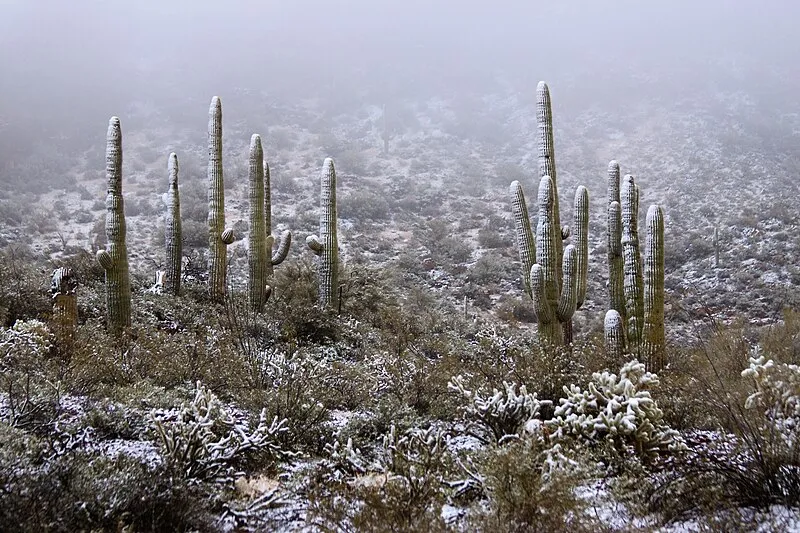 Vulture Peak Lower Trailhead, Maricopa