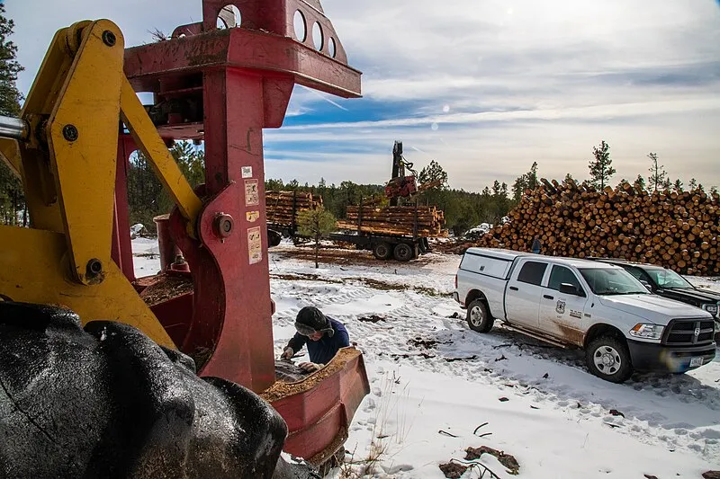 Williams Ranger District, Coconino