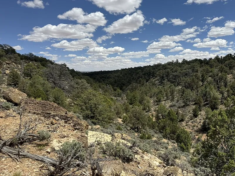 Paria Canyon Overnight Permit, Coconino