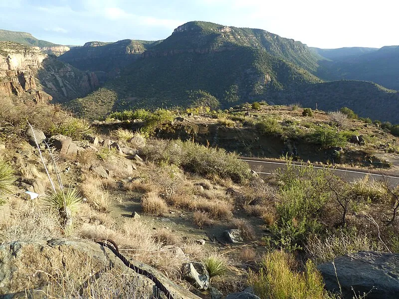 Salt River Canyon Wilderness Permit (NE, 10mi), Gila