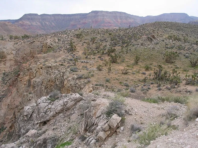 Beaver Dam Mountains Wilderness, Mohave