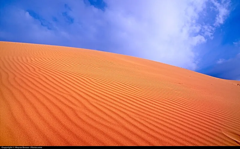 Coral Pink Sand Dunes State Park, Kane