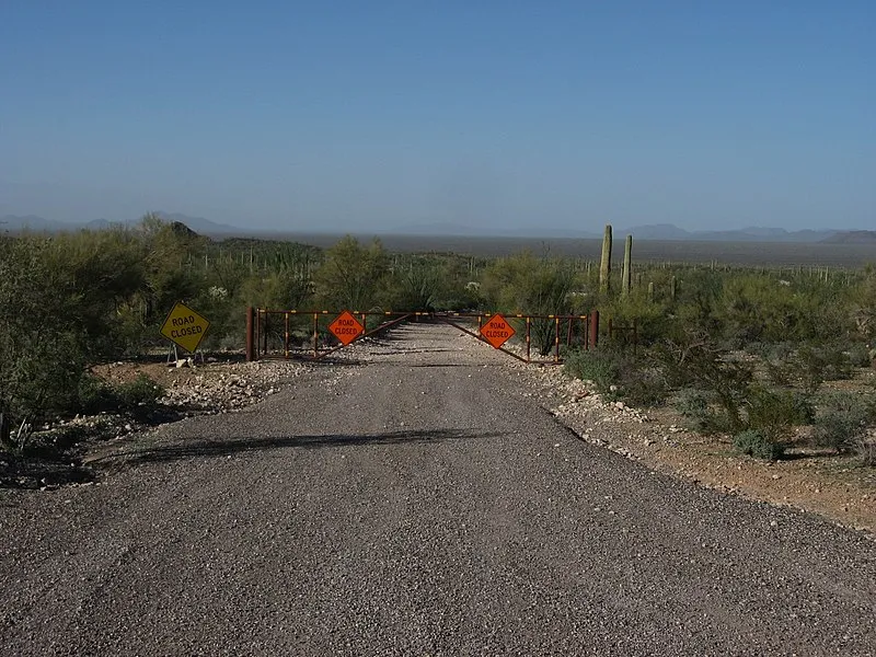 Sb Loop #4, Organ Pipe Cactus NM