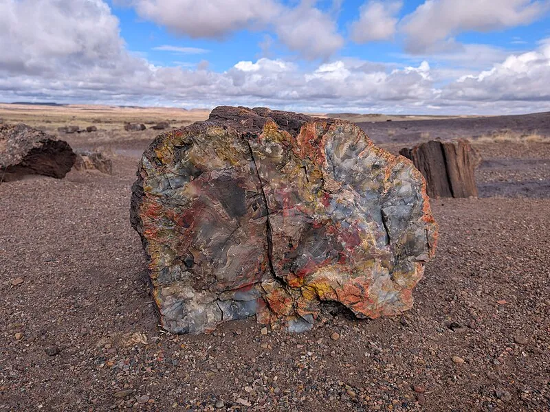 Trailhead (S, 7mi), Petrified Forest National Park