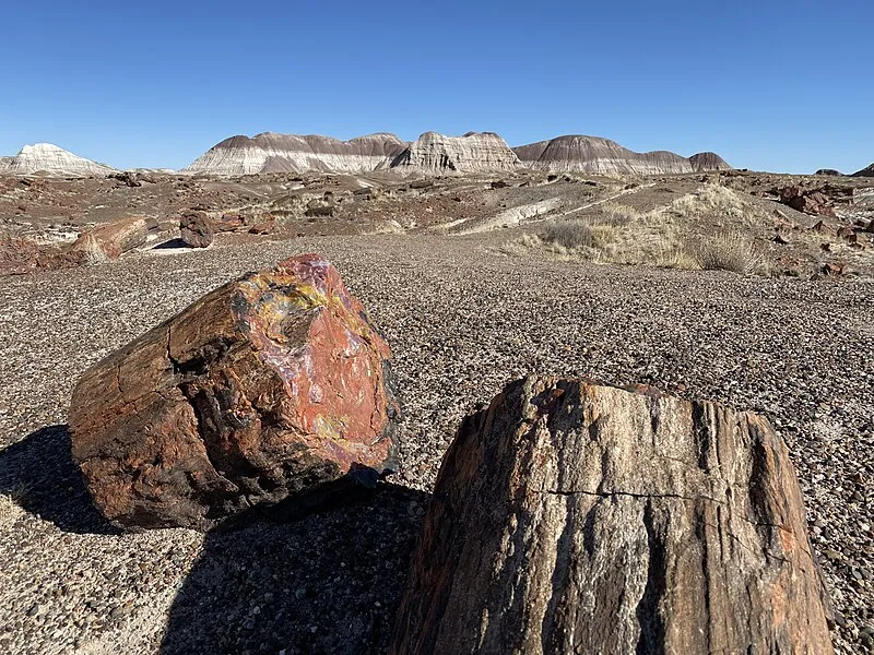 Agate House Trail (N, 0mi), Petrified Forest National Park
