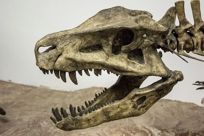 Rainbow Forest Museum & Visitor Center, Petrified Forest National Park