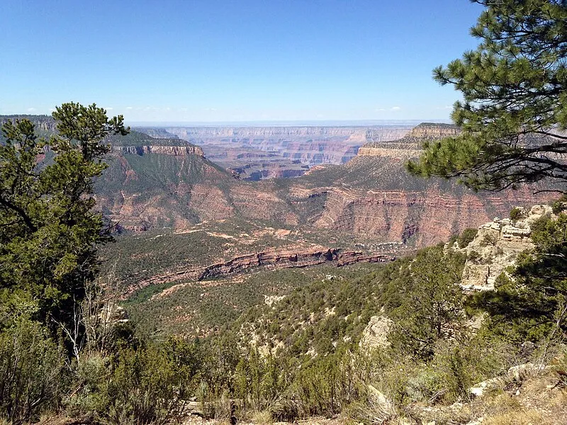 North Bass Trail, Coconino