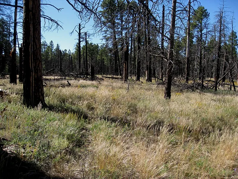 Old Bright Angel Trail, Grand Canyon National Park