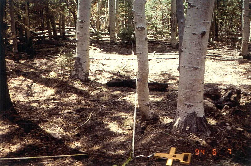 North Rim Amphitheater Trail, Grand Canyon National Park