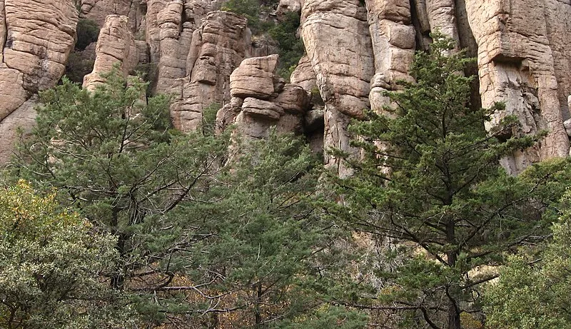Natural Bridge, Chiricahua National Monument