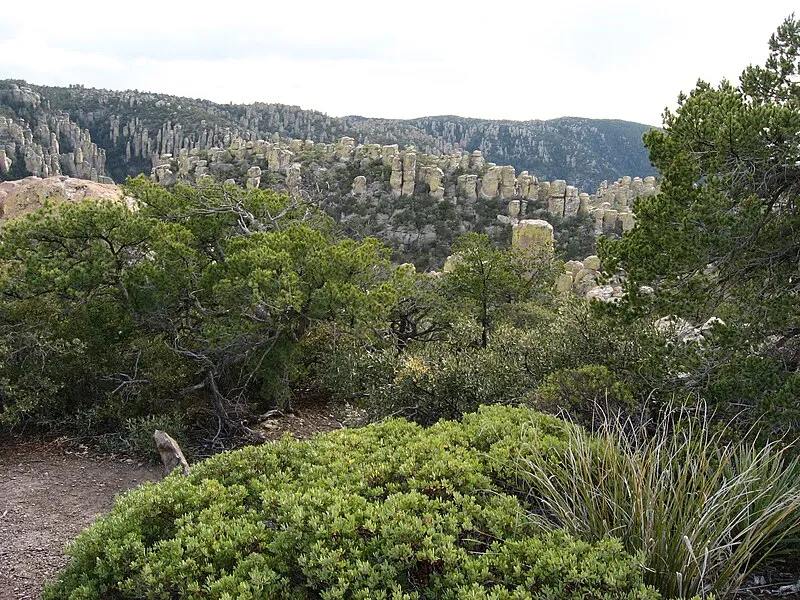 Massai Point Nature Trail, Chiricahua National Monument