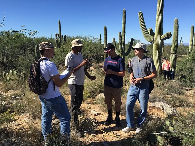 Stock Bypass Trail, Saguaro National Park