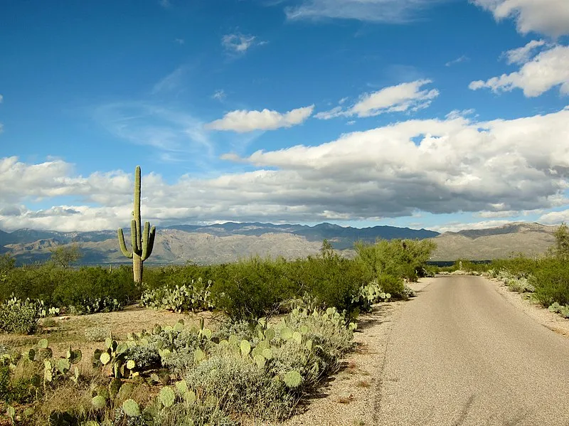 Prophecy Wash Trail, Pima