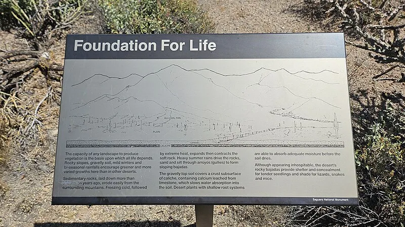 Discovery Trailhead, Saguaro National Park