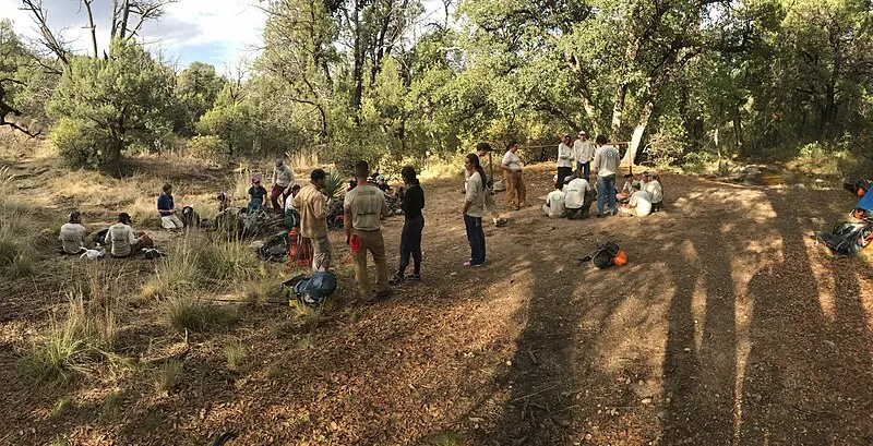 Manning Camp Trail, Saguaro National Park