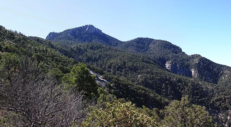 Miller Creek Trail, Saguaro National Park