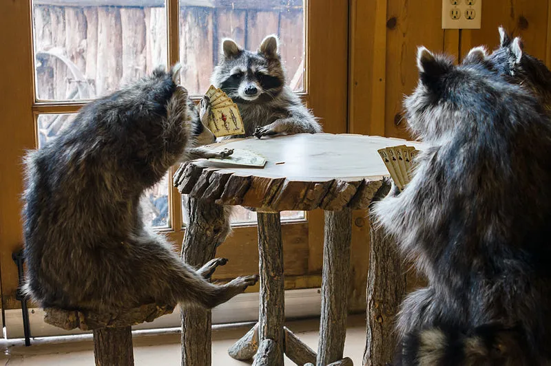 Tom's Canyon Trailhead, Kane