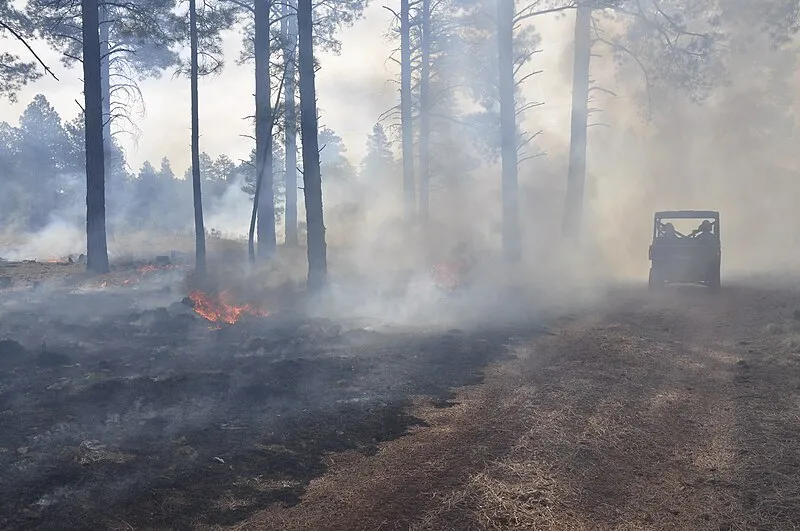 Arbor Trail, Coconino