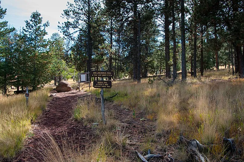 Bear Jaw Trail, Coconino