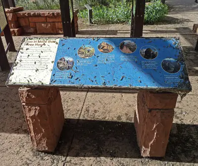 Southwestern Tent Caterpillar Moth