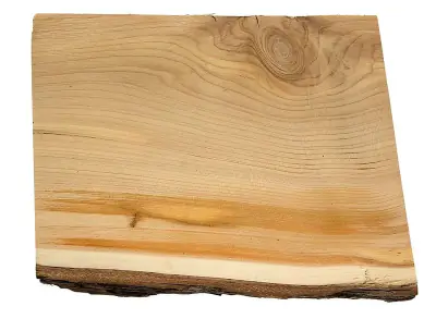 California incense-cedar